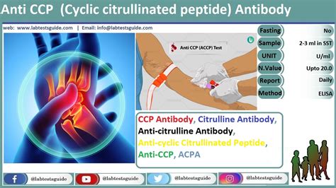 anti ccp result 0.50 means|Cyclic Citrullinated Peptide Antibodies, IgG, Serum.